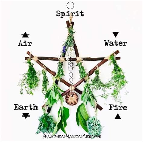 Exploring the healing properties of plants in Wiccan herbalism